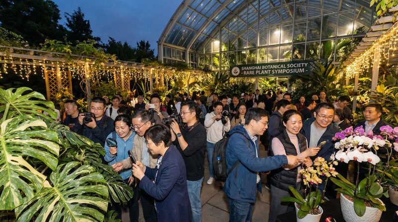 91植物社区活动