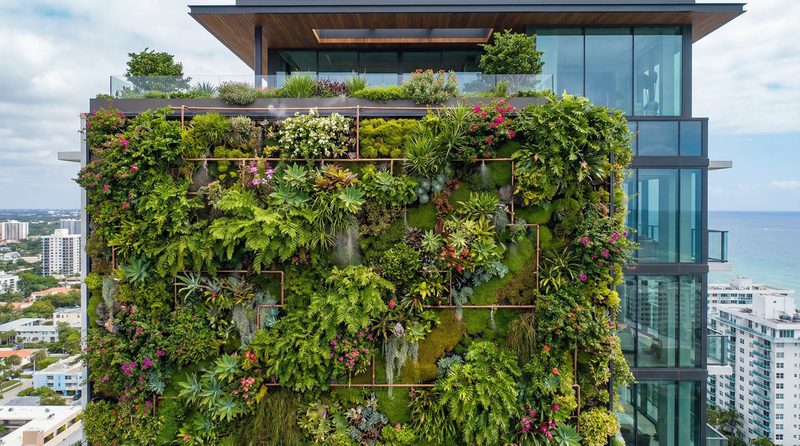 91植物视频 - 垂直花园建造全记录